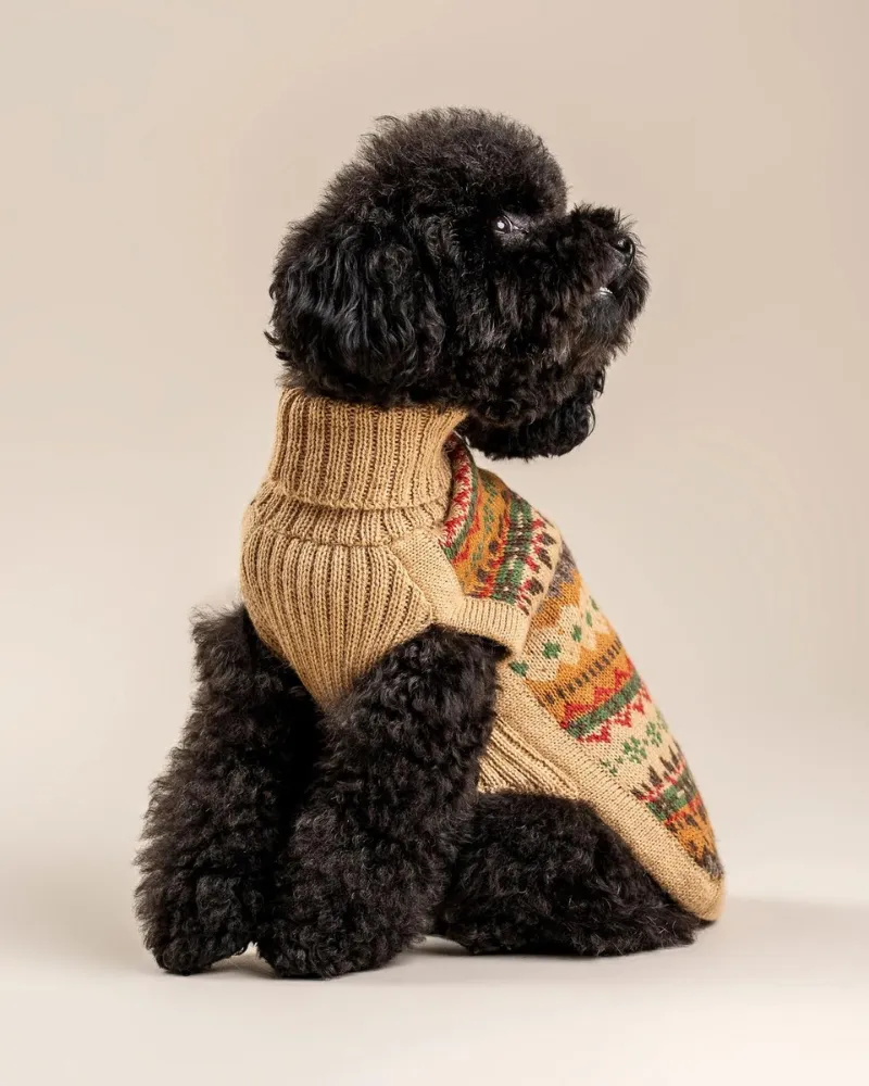 Fair Isle Finn Alpaca Dog Sweater (FINAL SALE)