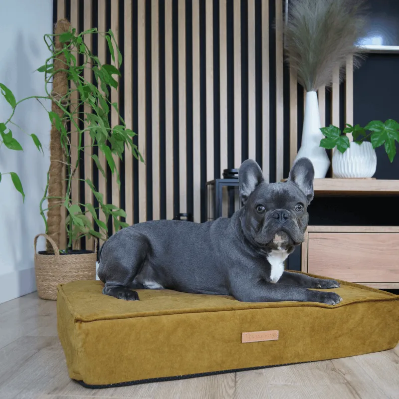 MISSOGNO Glamour Orthopaedic Rectangle Dog Bed