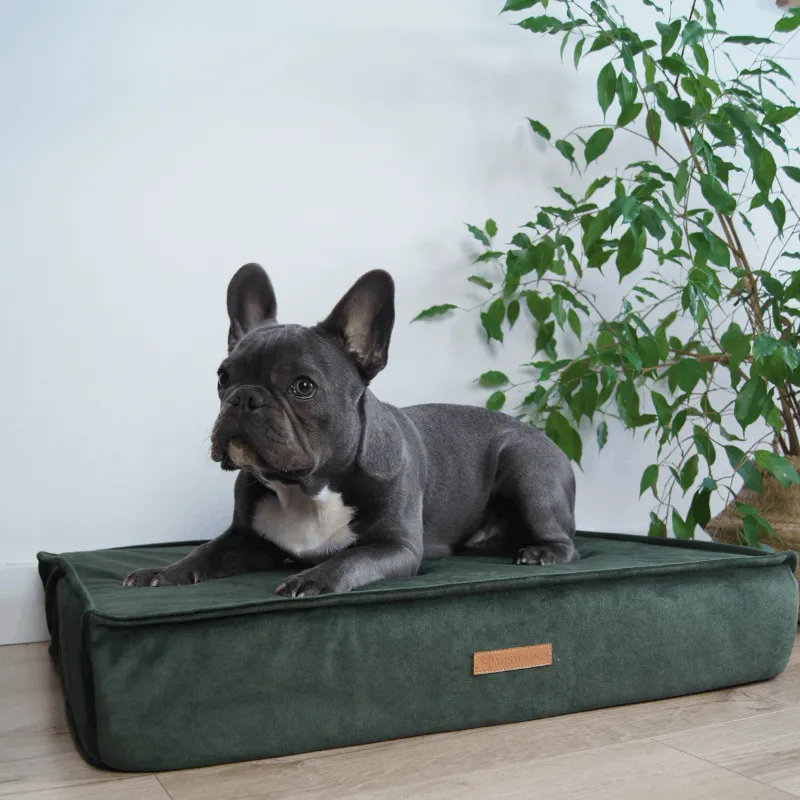 MISSOGNO Glamour Orthopaedic Rectangle Dog Bed