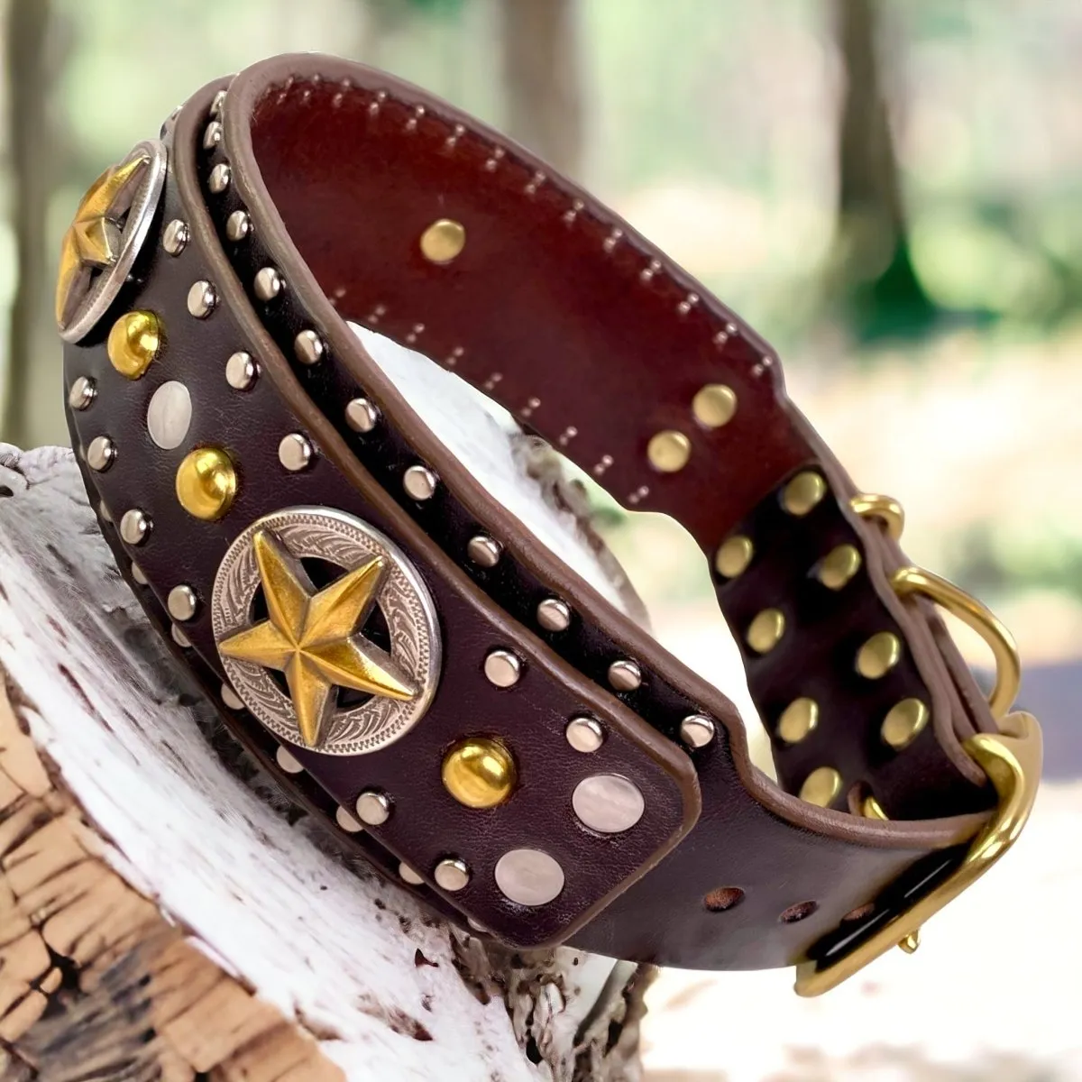 Western Dog Collar Nashville 1.5" or 2" Wide Studded